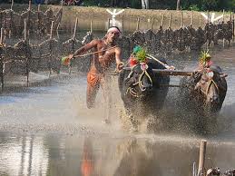 Kadri Kambala to be held on Dec 2